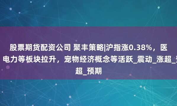 股票期货配资公司 聚丰策略|沪指涨0.38%，医药、电力等板块拉升，宠物经济概念等活跃_震动_涨超_预期