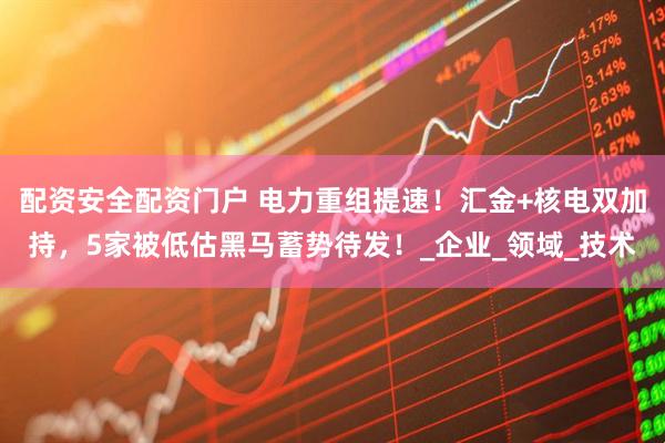 配资安全配资门户 电力重组提速！汇金+核电双加持，5家被低估黑马蓄势待发！_企业_领域_技术