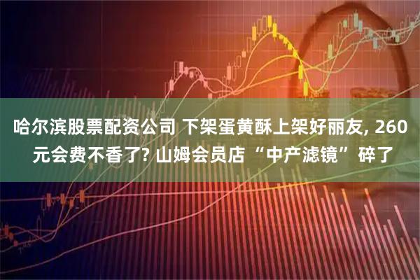 哈尔滨股票配资公司 下架蛋黄酥上架好丽友, 260 元会费不香了? 山姆会员店 “中产滤镜” 碎了