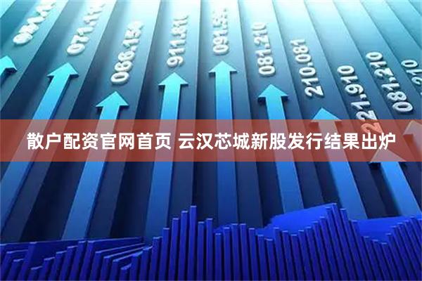 散户配资官网首页 云汉芯城新股发行结果出炉